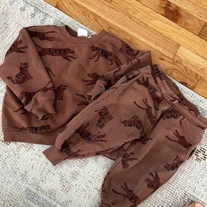Zara Toddler Tiger Sweat Set